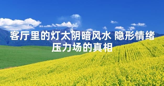 客厅里的灯太阴暗风水 隐形情绪压力场的真相